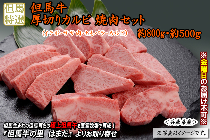 但馬牛　厚切りカルビ焼肉セット　約800g・約500g（イチボ・ササ肉・ともバラ・カルビ）＜兵庫県産＞