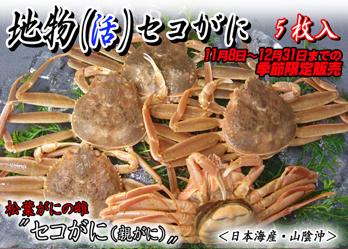 【地物(活)セコがに(親がに)】11月8日~12月31日までの季節限定販売