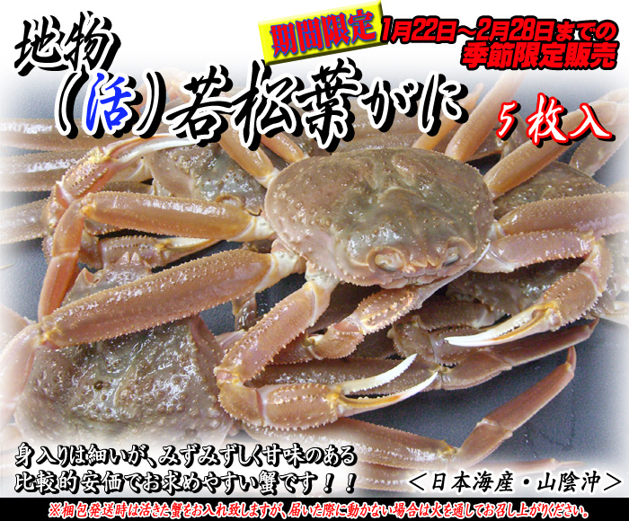 山陰浜坂港発!地物(活)ソフト若松葉がに 5枚<日本海産・山陰沖>