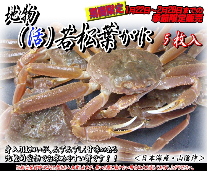 山陰浜坂港発!地物(活)ソフト若松葉がに 5枚<日本海産・山陰沖>