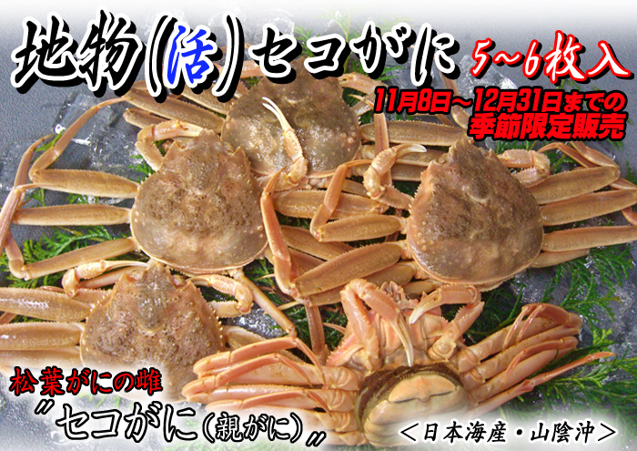 【地物(活)セコがに(親がに)】11月8日~12月31日までの季節限定販売