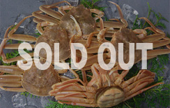 地物（活）セコがに（親がに）５～６枚