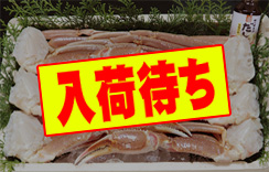 かにすきセット　約1.3kg　6肩　2L　だし1個付