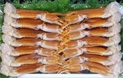 (生)ずわいがに足だけ　5kg　5L　約11～13肩