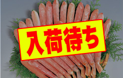 （生）かにすき棒ポーション　約1.0kg　5L（棒約35本入）