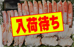 かに鍋セット　ずわいがに900g・だし2袋