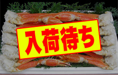 (ゆで)ずわいがに足だけ　5kg　4～5Lサイズ　約13～15肩