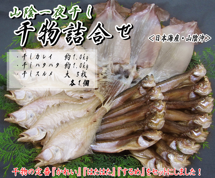 ＜山陰一夜干し＞干物詰合せ（干しかれい・干しハタハタ・干しスルメ）＜日本海産・山陰沖＞