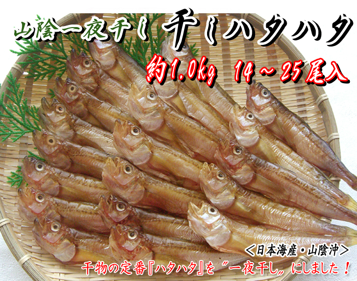 一夜干しハタハタ 約1.0kg<日本海産・山陰沖>