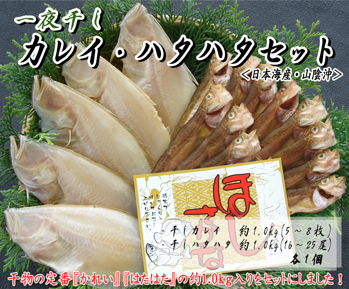 ＜山陰一夜干し＞干カレイ・干ハタハタセット　各約1.0kg＜日本海産・山陰沖＞