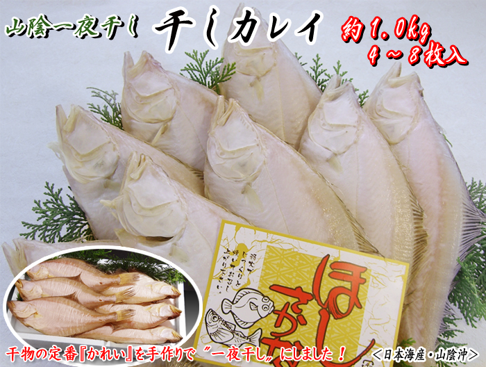 一夜干しカレイ　約1.0kg＜日本海産・山陰沖＞
