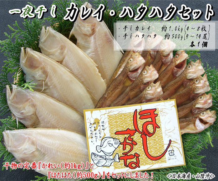 ＜山陰一夜干し＞干カレイ・干ハタハタセット　各約1.0kg＜日本海産・山陰沖＞