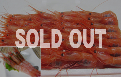 お刺身用海老　船内冷凍甘えび