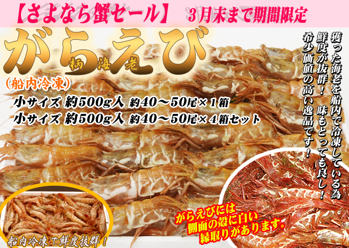 [船内冷凍]がらえび　小サイズ　約40～50尾（約500g）1箱・4箱セット＜日本海産・山陰沖＞