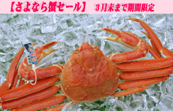 (ゆで)松葉蟹（松葉がに）　1枚入