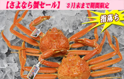 (ゆで)松葉蟹（松葉がに）≪指落ち≫　2枚入