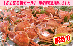 (ゆで)セコがに（子持ちがに）中サイズ　5枚入　かに酢1本付