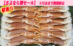 (生)ずわいがに足だけ　5kg　5Lサイズ　約11～13肩