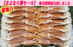 (生)ずわいがに足だけ　5kg　5Lサイズ　約11～13肩