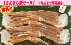 【訳あり】（生）ずわいがに足だけ　4肩入り　5Lｻｲｽﾞ　ﾀﾞｼ1個付