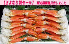 (ゆで)ずわいがに足だけ 5.0kg 5Lサイズ