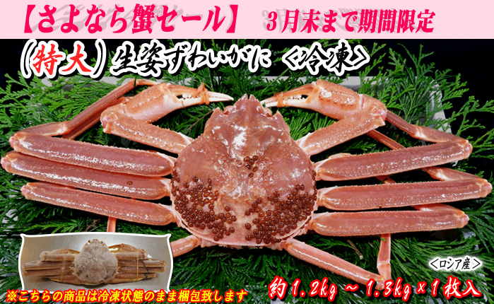 『特大』生姿ずわいがに 1枚入 約1.2~1.3kg 〔冷凍〕<ロシア産>