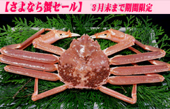 『特大』生姿ずわいがに＜冷凍＞　1枚入　約1.2～1.3kg