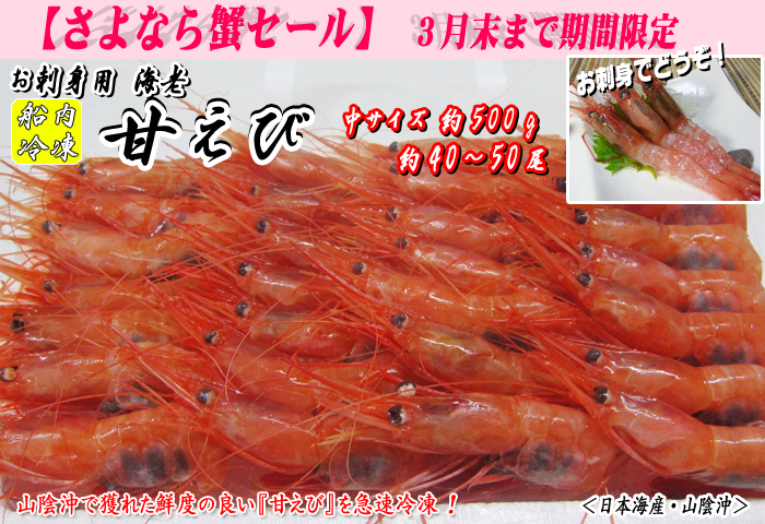 甘えび（船内冷凍）＜日本海産・山陰沖＞中サイズ　約500g