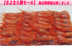 お刺身用海老　船内冷凍甘えび