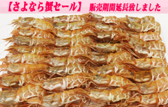 お刺身用海老　船内冷凍がらえび