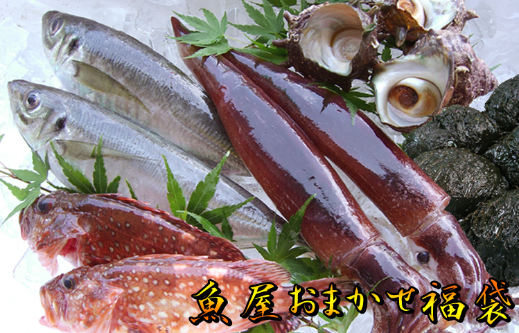 旬の味覚の詰合せ! 魚屋おまかせ福袋(日本海産)