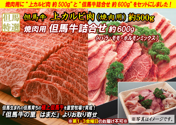 焼肉用 但馬牛 上カルビ肉 約500g・詰合せ(バラ約200g・モモ約200g・ホルモンミックス約200g) 約600g