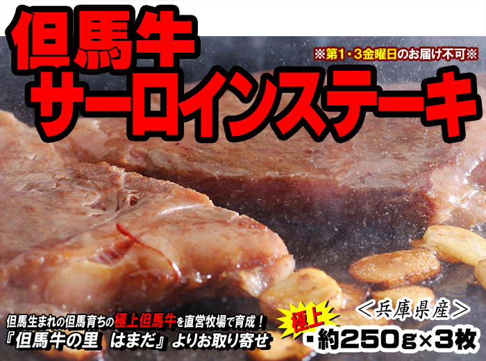 但馬牛　サーロインステーキ【ステーキ用】　約250g×3枚（極上）＜兵庫県産＞
