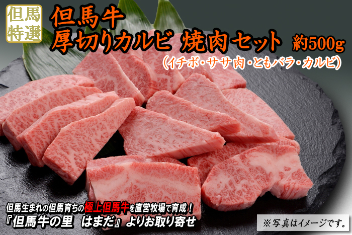但馬牛　厚切りカルビ焼肉セット　約500g（イチボ・ササ肉・ともバラ・カルビ）＜兵庫県産＞