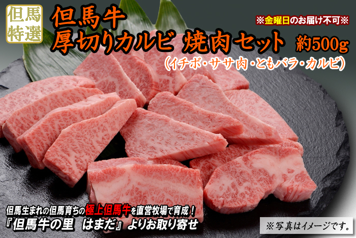 但馬牛　厚切りカルビ焼肉セット　約500g（イチボ・ササ肉・ともバラ・カルビ）＜兵庫県産＞